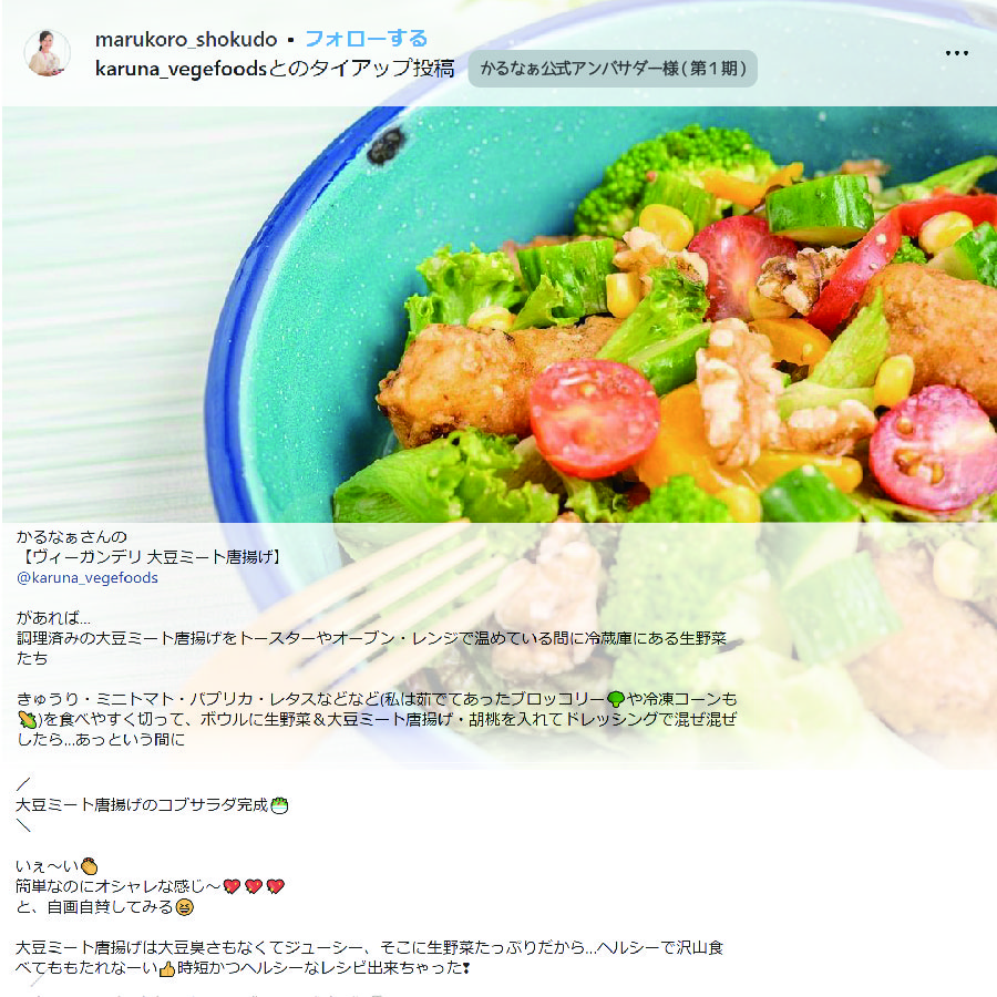アンバサダー唐揚げ05
