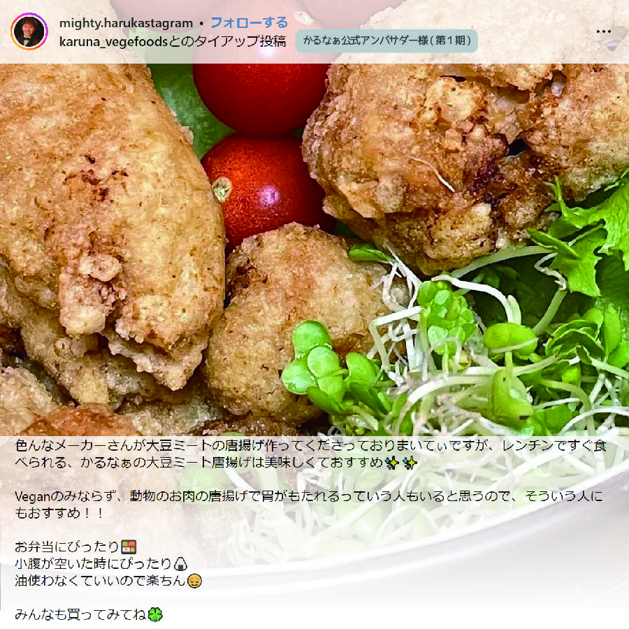 アンバサダー唐揚げ08
