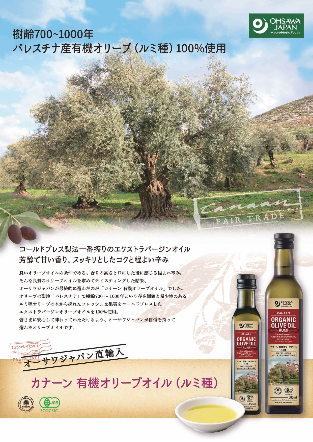 カナーン 有機オリーブオイル(ルミ種)