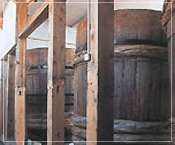 三河　しろたまり