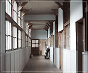 三河　しろたまり