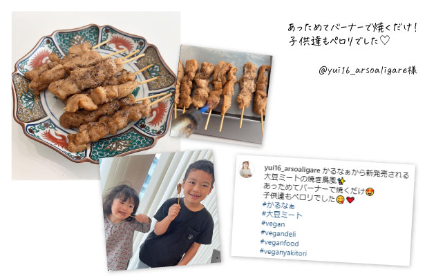 VD 大豆ミートの焼きとり風 モニター2